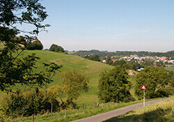 Fietsroute Veulen en Paardekop